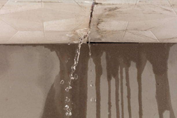 Professional Water Damage Inspection technician working in Central City, IA